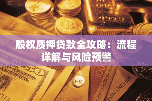 北京股权质押贷款全攻略：流程详解与风险预警