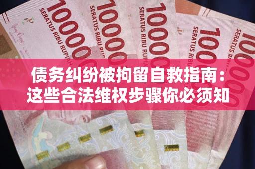 北京债务纠纷被拘留自救指南：这些合法维权步骤你必须知道！