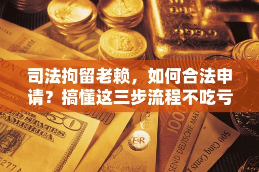北京司法拘留老赖，如何合法申请？搞懂这三步流程不吃亏！