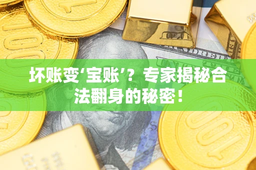 北京坏账变‘宝账’？专家揭秘合法翻身的秘密！