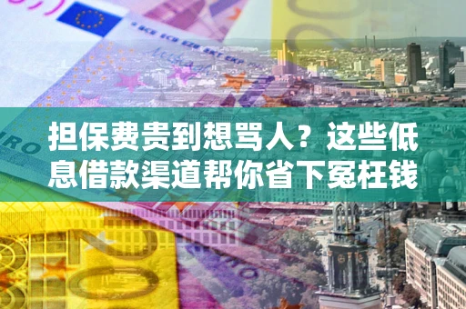 北京担保费贵到想骂人？这些低息借款渠道帮你省下冤枉钱