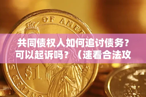北京共同债权人如何追讨债务？可以起诉吗？（速看合法攻略）